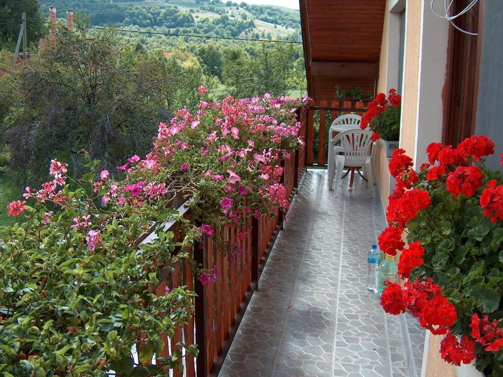 Apartments Ana Смолянаць Номер фото